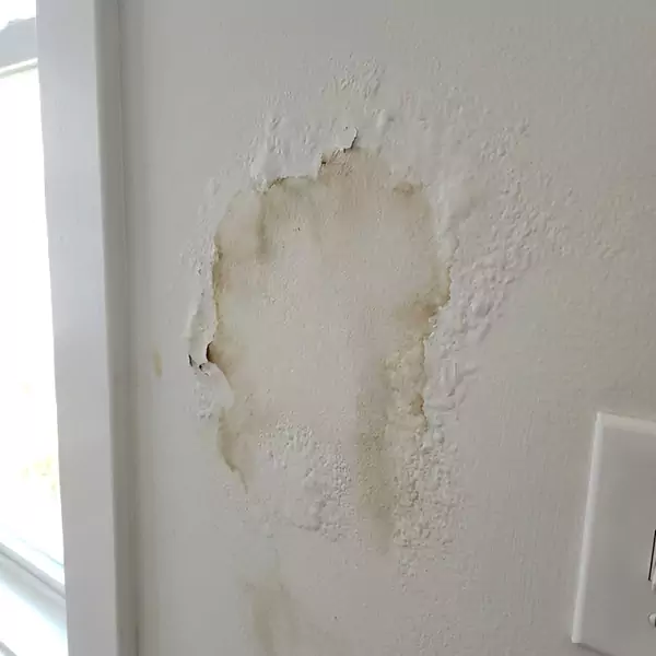 Expert Drywall Water Damage Repair in Sandalfoot Cove, FL