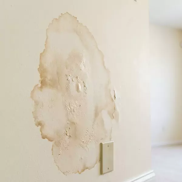 Fixing Water Damaged Drywall in Sandalfoot Cove, FL