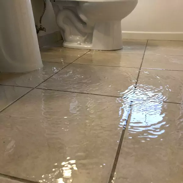 Expert Flooded Bathroom Restoration in Sandalfoot Cove, FL 