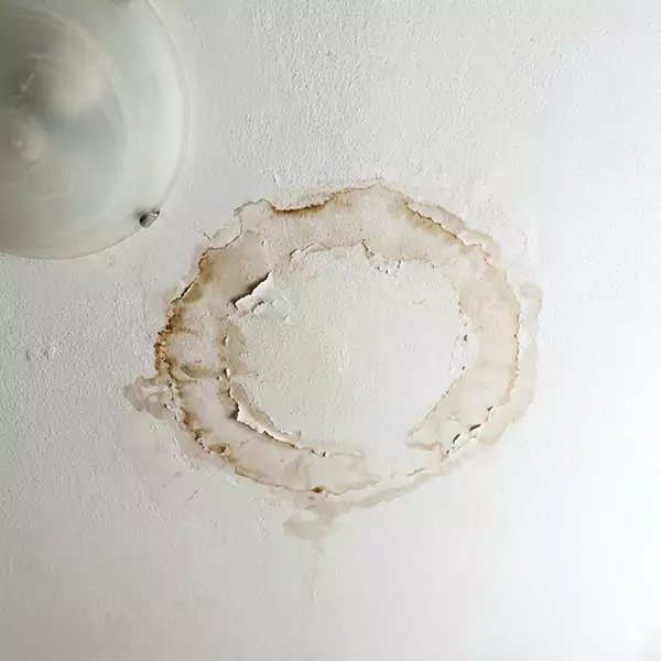 Leaking Ceiling Repair in Sandalfoot Cove, FL 
