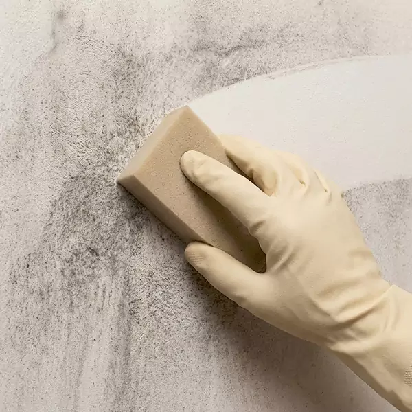 Smoke Cleaning in Sandalfoot Cove, FL 