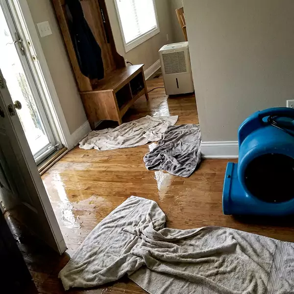 Water Mitigation in Sandalfoot Cove, FL