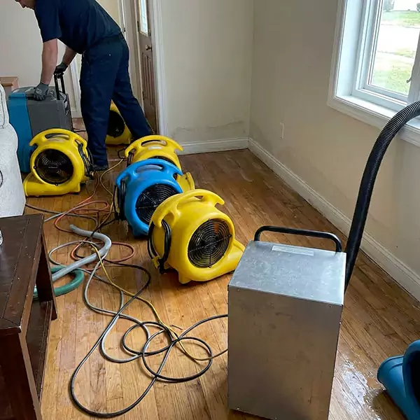 Water Mitigation Services in Sandalfoot Cove, FL