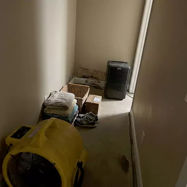 Expert Water Remediation in Sandalfoot Cove, FL 