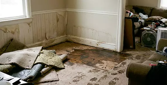 Why Choose Sandalfoot Cove Water Damage For Water Damage Restoration Services in Sandalfoot Cove, FL?