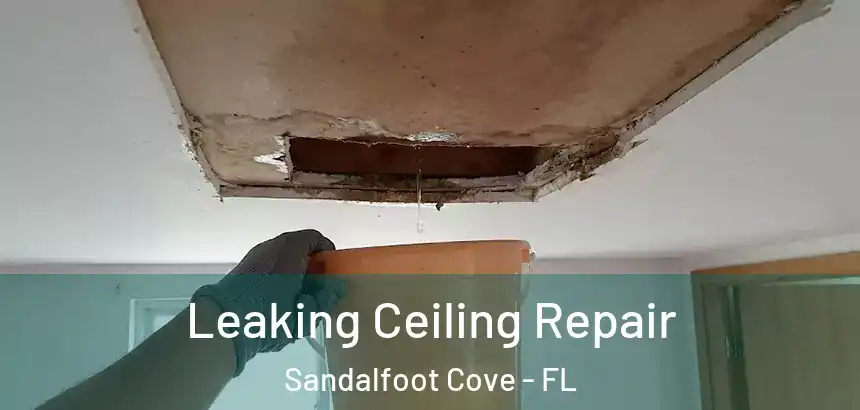  Leaking Ceiling Repair Sandalfoot Cove - FL