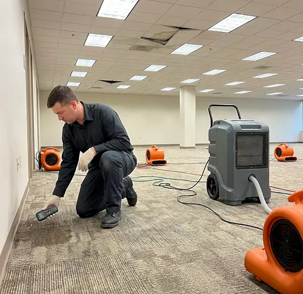 Why Businesses Choose Sandalfoot Cove Water Damage for Commercial Water Damage in Sandalfoot Cove, FL?