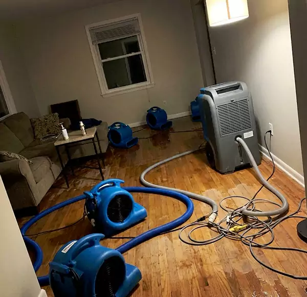 Why Homeowners & Businesses Choose Sandalfoot Cove Water Damage for Emergency Water Restoration in Sandalfoot Cove, FL?
