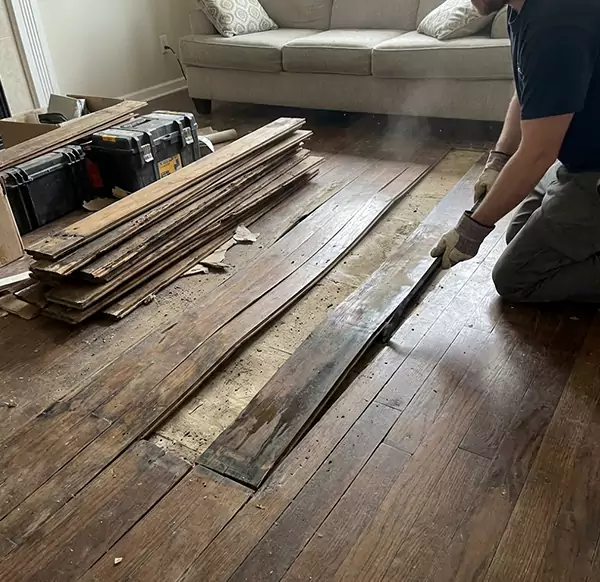 Why Choose Sandalfoot Cove Water Damage for Wood Floor Water Damage Repair in Sandalfoot Cove, FL?