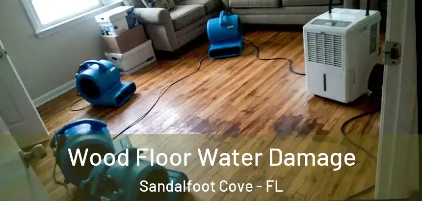  Wood Floor Water Damage Sandalfoot Cove - FL